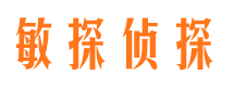 晴隆寻人公司